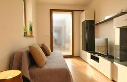 Apartament 2 camere cu curte privată | Pet Friendly | Zorilor 