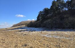 Teren intravilan 4000 mp | Panoramă superbă | Lângă statia meteo