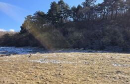 Teren intravilan 4000 mp | Panoramă superbă | Lângă statia meteo