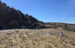 Teren intravilan 4000 mp | Panoramă superbă | Lângă statia meteo