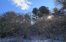 Teren intravilan 4000 mp | Panoramă superbă | Lângă statia meteo