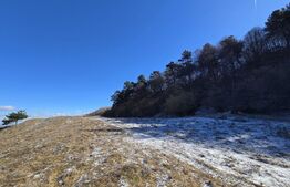 Teren intravilan 4000 mp | Panoramă superbă | Lângă statia meteo