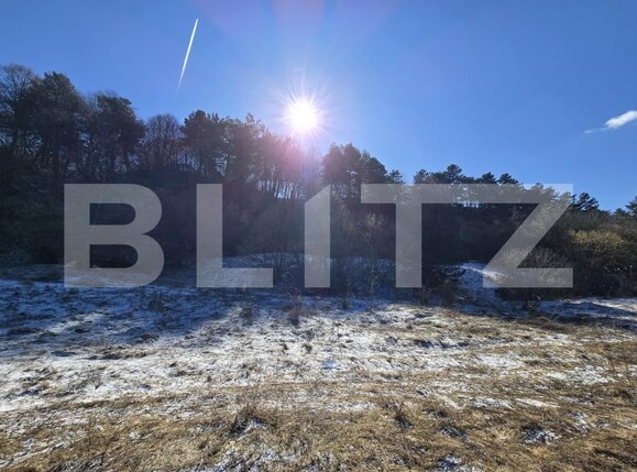 Teren de vânzare Feleacu - 189155TV | BLITZ Cluj-Napoca | Poza11