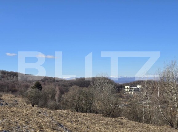 Teren de vânzare Feleacu - 189155TV | BLITZ Cluj-Napoca | Poza7