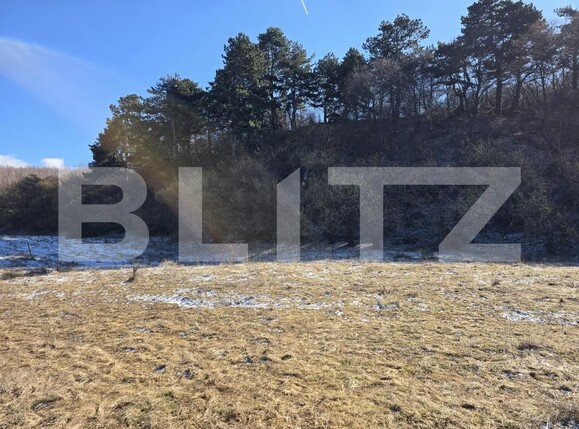 Teren de vânzare Feleacu - 189155TV | BLITZ Cluj-Napoca | Poza10