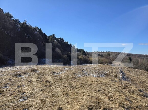 Teren de vânzare Feleacu - 189155TV | BLITZ Cluj-Napoca | Poza8