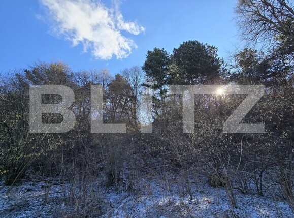 Teren de vânzare Feleacu - 189155TV | BLITZ Cluj-Napoca | Poza12