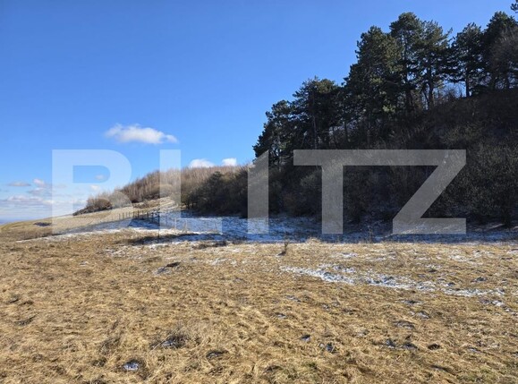 Teren de vânzare Feleacu - 189155TV | BLITZ Cluj-Napoca | Poza9