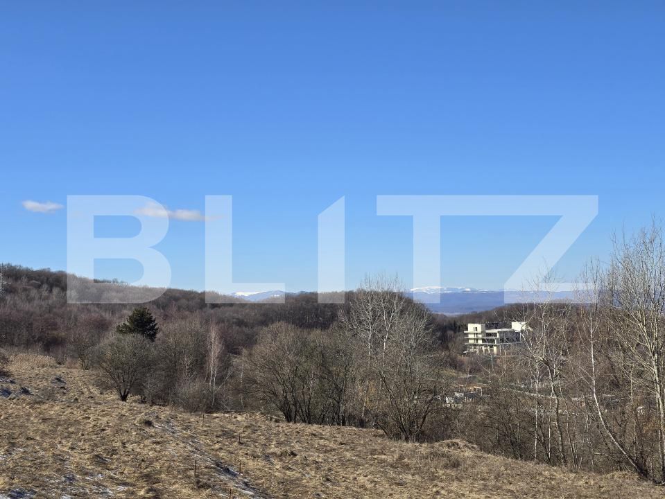 Teren de vânzare Feleacu - 189155TV | BLITZ Cluj-Napoca | Poza7