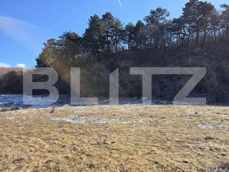 Teren de vânzare Feleacu - 189155TV | BLITZ Cluj-Napoca | Poza10