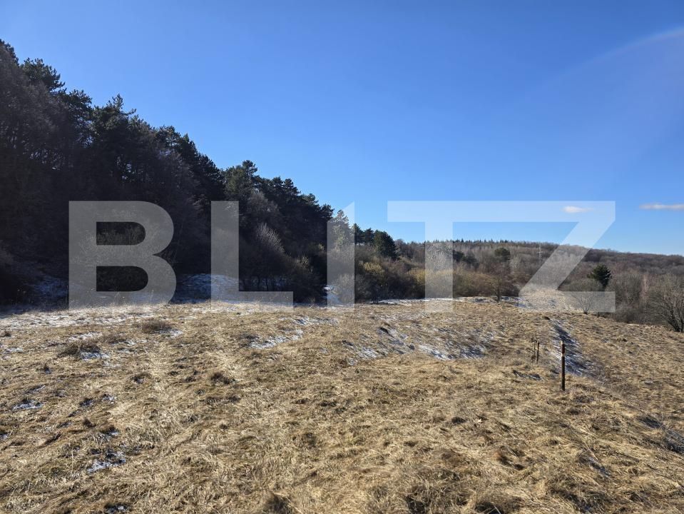 Teren de vânzare Feleacu - 189155TV | BLITZ Cluj-Napoca | Poza8