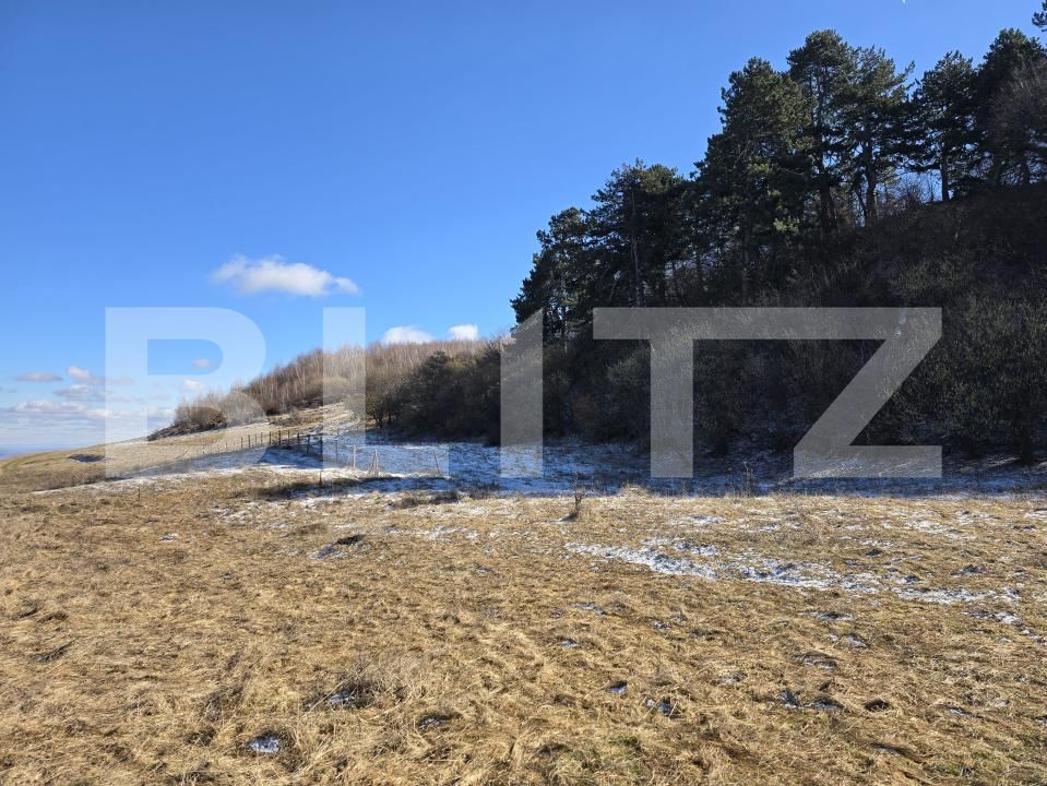 Teren de vânzare Feleacu - 189155TV | BLITZ Cluj-Napoca | Poza9