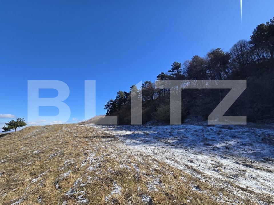 Teren de vânzare Feleacu - 189155TV | BLITZ Cluj-Napoca | Poza6