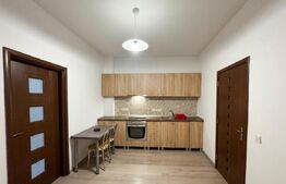 Apartament 1 camera, 40 mp, parcare, zona: semicentrala