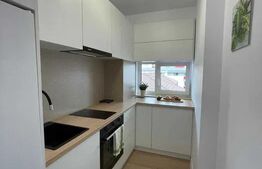 Apartament 1 cameră, încălzire în pardoseală, parcare, zona Sesul De Sus