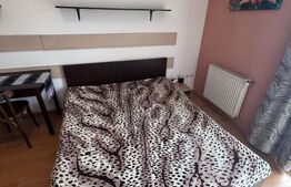 Apartament o camera, 30 mp, zona Iulius Mall