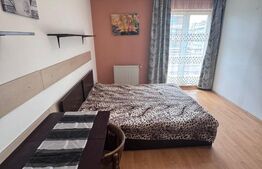 Apartament o camera, 30 mp, zona Iulius Mall