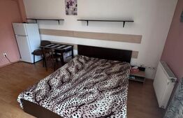 Apartament o camera, 30 mp, zona Iulius Mall