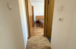 Apartament 2 camere, 55 mp, decomandat, Pet Friendly zona Calea Floresti