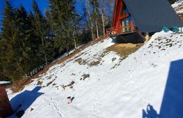 Oportunitate de investiție – 3 Cabane A-Frame la cheie în Moieciu 