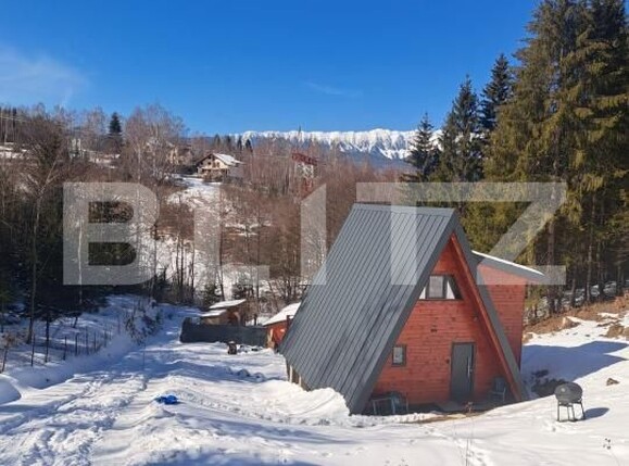 Casa de vânzare 6 camere Moieciu de jos - 189286CV | BLITZ Brașov | Poza3