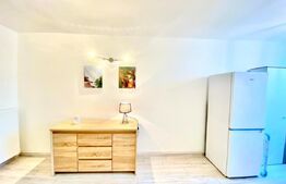 Garsoniera, 40 mp, mobilat modern, zona Profi