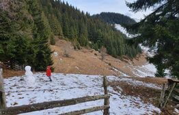 Teren cu potențial investițional major – Fundata