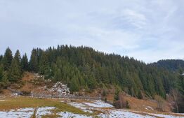 Teren cu potențial investițional major – Fundata