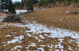 Teren cu potențial investițional major – Fundata