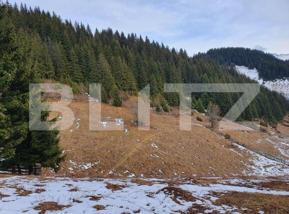 Teren de vânzare Fundata - 189314TV | BLITZ Brașov | Poza1