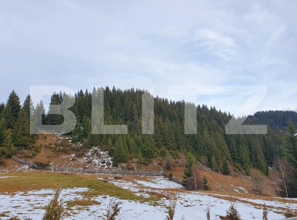 Teren de vânzare Fundata - 189314TV | BLITZ Brașov | Poza3