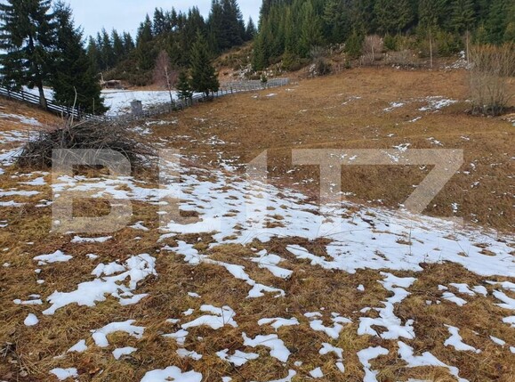 Teren de vânzare Fundata - 189314TV | BLITZ Brașov | Poza4