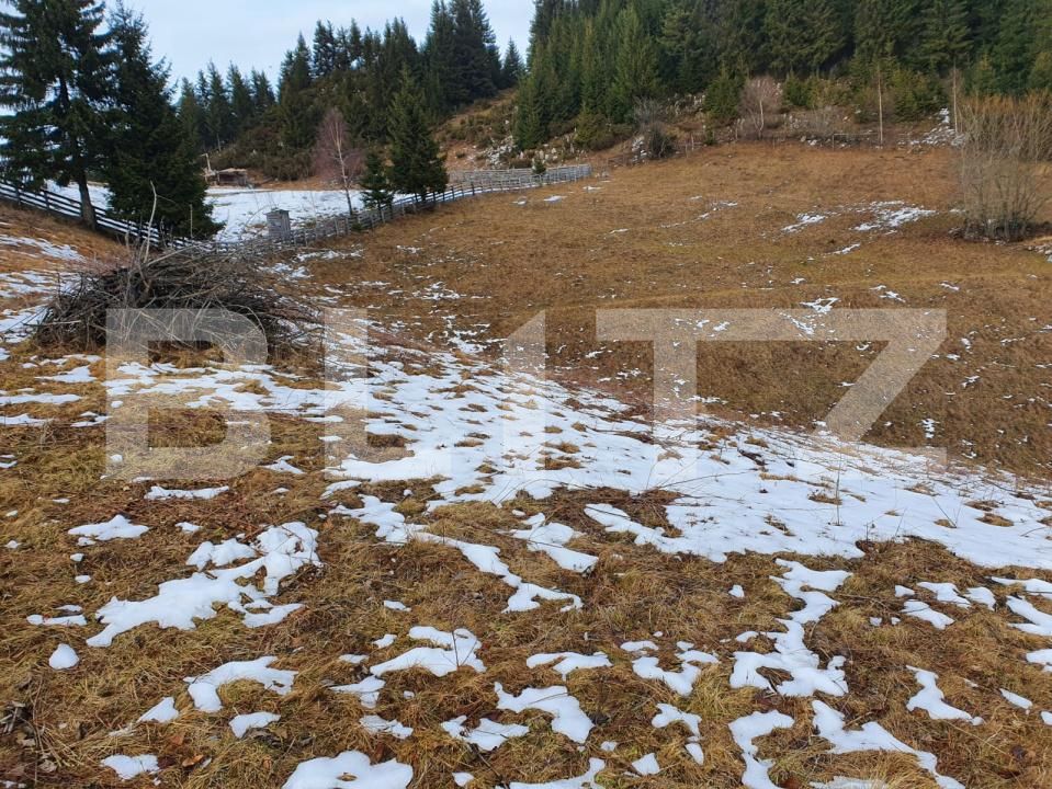 Teren de vânzare Fundata - 189314TV | BLITZ Brașov | Poza4