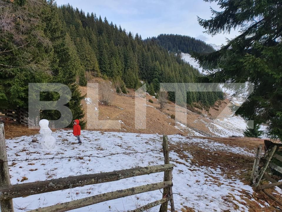 Teren de vânzare Fundata - 189314TV | BLITZ Brașov | Poza2