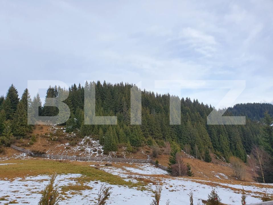 Teren de vânzare Fundata - 189314TV | BLITZ Brașov | Poza3