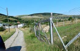 De vanzare teren extravilan, 1000 mp - Valcele