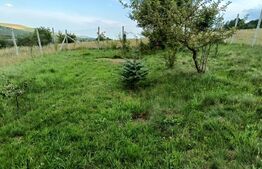 De vanzare teren extravilan, 1000 mp - Valcele