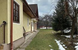 Casa spatioasa de vanzare, ideala pentru 2 familii - Zizin, Brasov