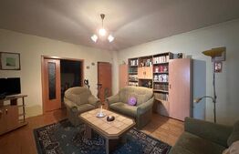 Casa spatioasa de vanzare, ideala pentru 2 familii - Zizin, Brasov
