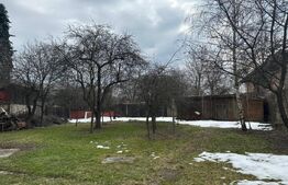 Casa spatioasa de vanzare, ideala pentru 2 familii - Zizin, Brasov