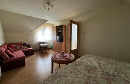 Casa spatioasa de vanzare, ideala pentru 2 familii - Zizin, Brasov