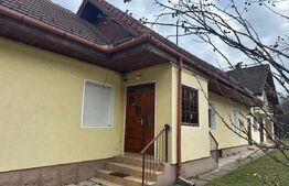 Casa spatioasa de vanzare, ideala pentru 2 familii - Zizin, Brasov