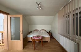 Casa spatioasa de vanzare, ideala pentru 2 familii - Zizin, Brasov