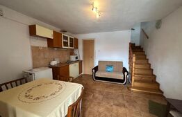 Casa spatioasa de vanzare, ideala pentru 2 familii - Zizin, Brasov