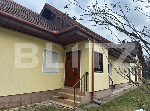 Casa de vânzare 5 camere Zizin - 189332CV | BLITZ Brașov | Poza17