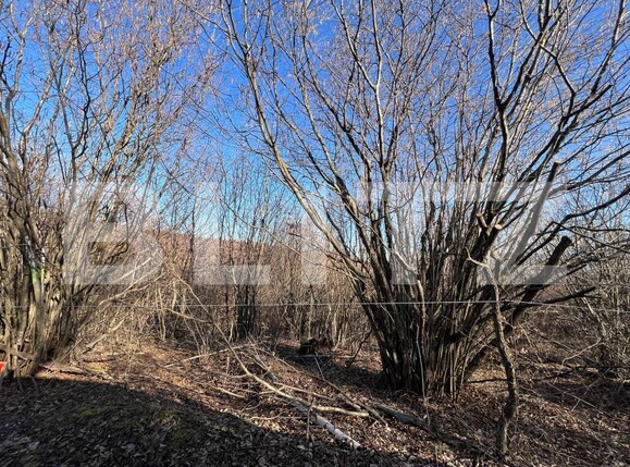 Teren de vânzare Salicea - 189335TV | BLITZ Cluj-Napoca | Poza1