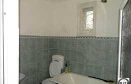 Casa de vanzare in Dambul Rotund, 80 mp cu 700 mp teren