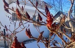 Vilă Premium în Borhanci – 270 mp Utili , 7 Camere, priveliste de exceptie 