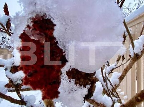 Casa de vânzare 7 camere Borhanci - 189375CV | BLITZ Cluj-Napoca | Poza22