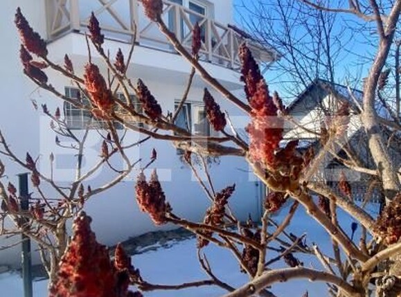 Casa de vânzare 7 camere Borhanci - 189375CV | BLITZ Cluj-Napoca | Poza25